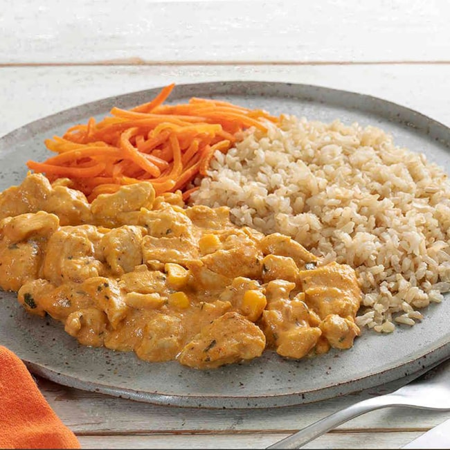 Strogonoff de Frango e Arroz com Cenoura da BoituVeggie Kids – 300g -  Evolveg - Shopping 100% vegano